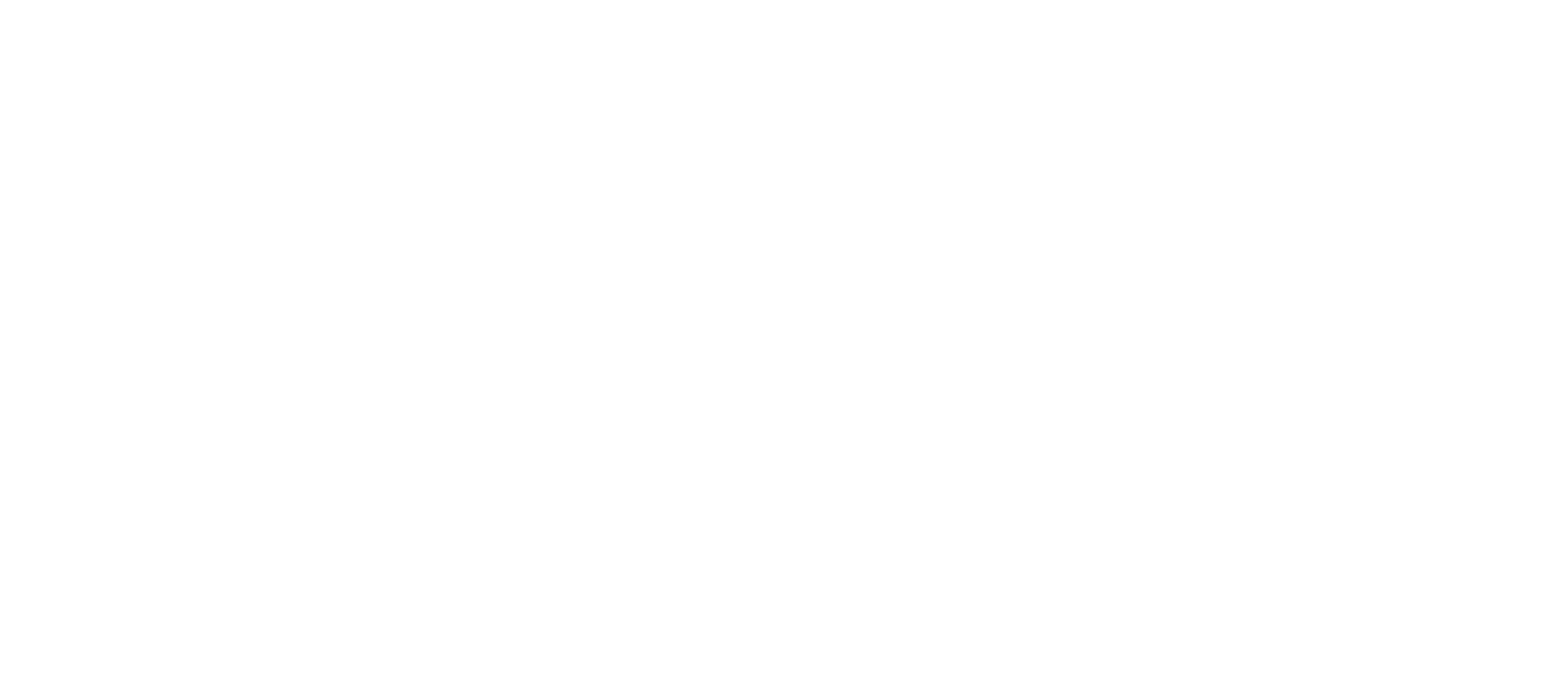 Bureau Flinck logo